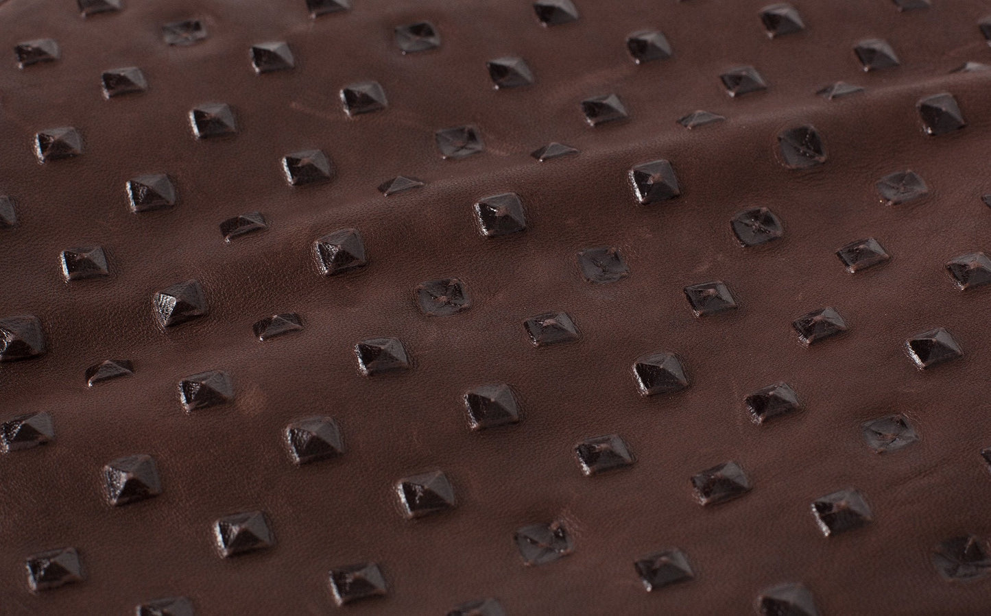 Roxanne Leather Clutch in Brown (6707092979806)