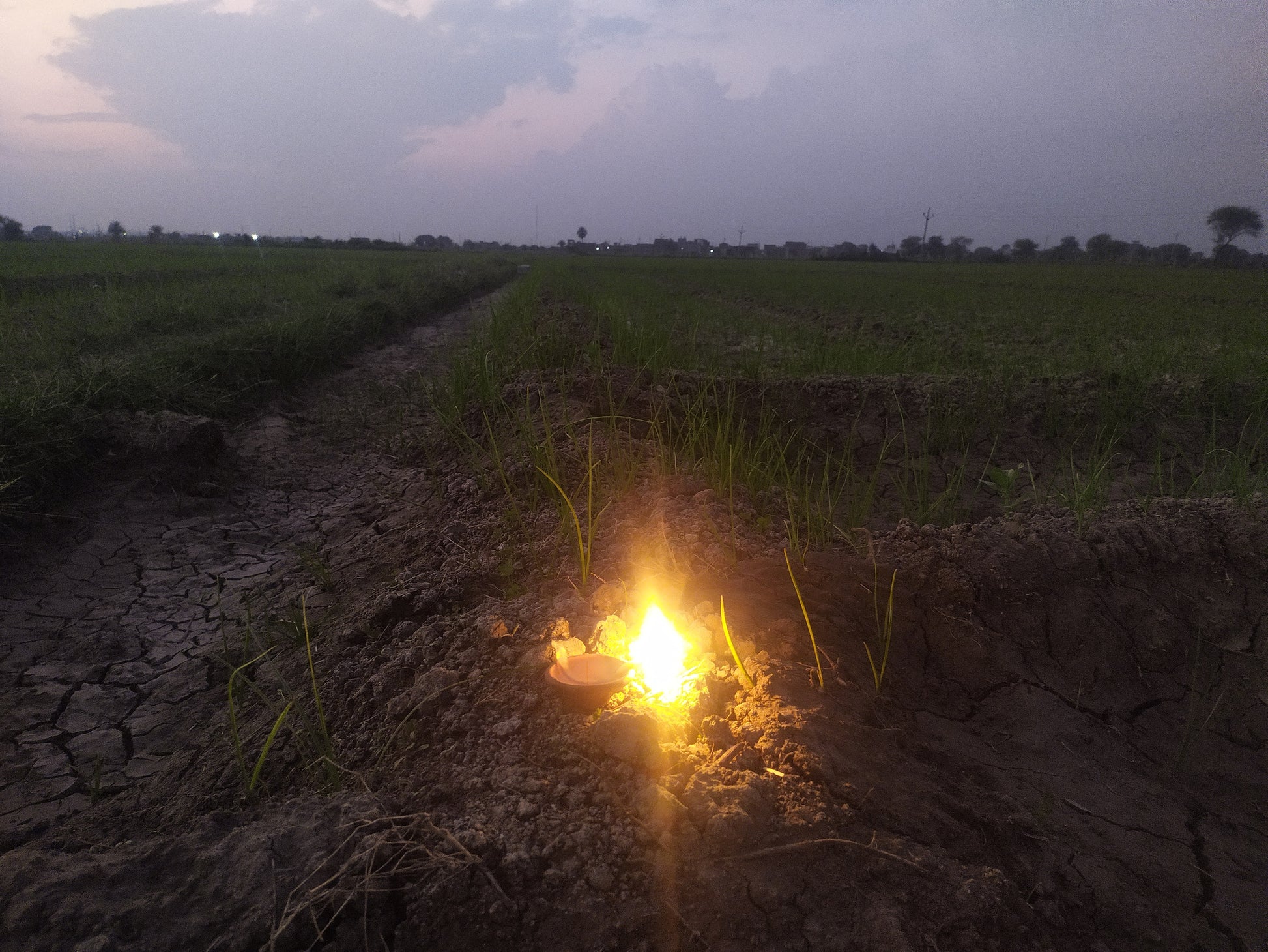 new test product (6604233670750)