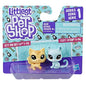 Littlest Pet Shop Mini 2-Pack (6589232742494)